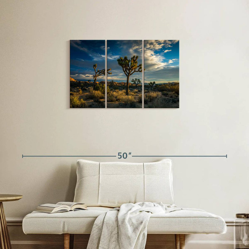 Sebbie Joshua Tree National Park Scenery, 20" H x 33" W