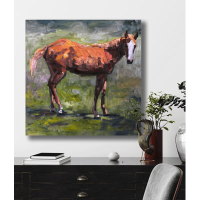 Foal - Artist Enhanced Canvas Print