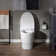 1.28 GPF Elongated ADA Height One Piece Dual-Flush Toilet with Soft-Closing Seat,MAP Flushing 1000G