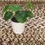 Tapis lavables pour tapis d'intérieur de salon-2084169630
