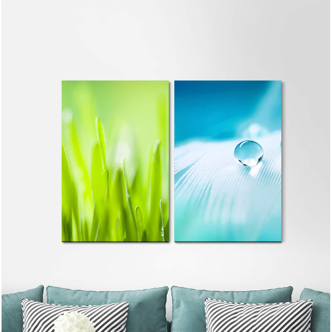 2-tlg. Leinwandbilder-Set - Fotografie „Grass Blades of Grass Green Feather White Drops”