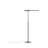 Type A 51 " LED Task Floor Lamp-61733799-61733798