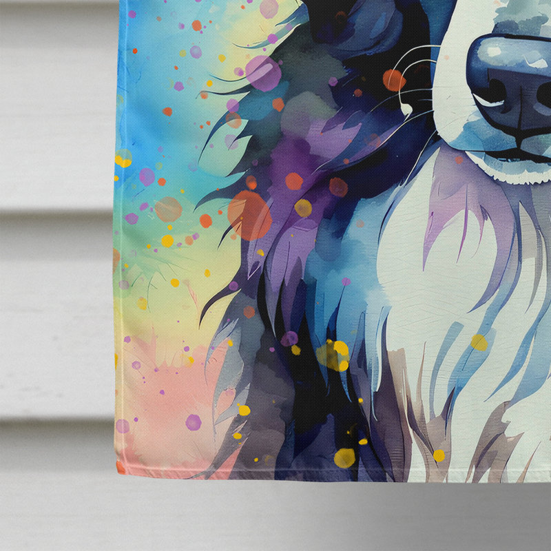 Drapeau de la maison Hippie Dawg, Border Collie