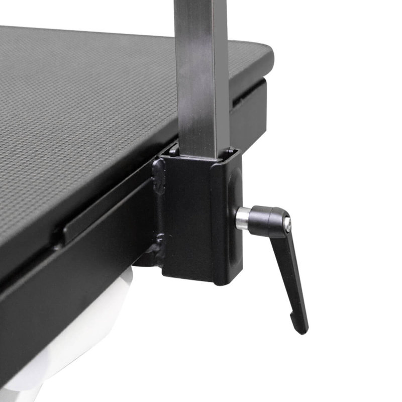 Table de toilettage électrique pour chien Waggz