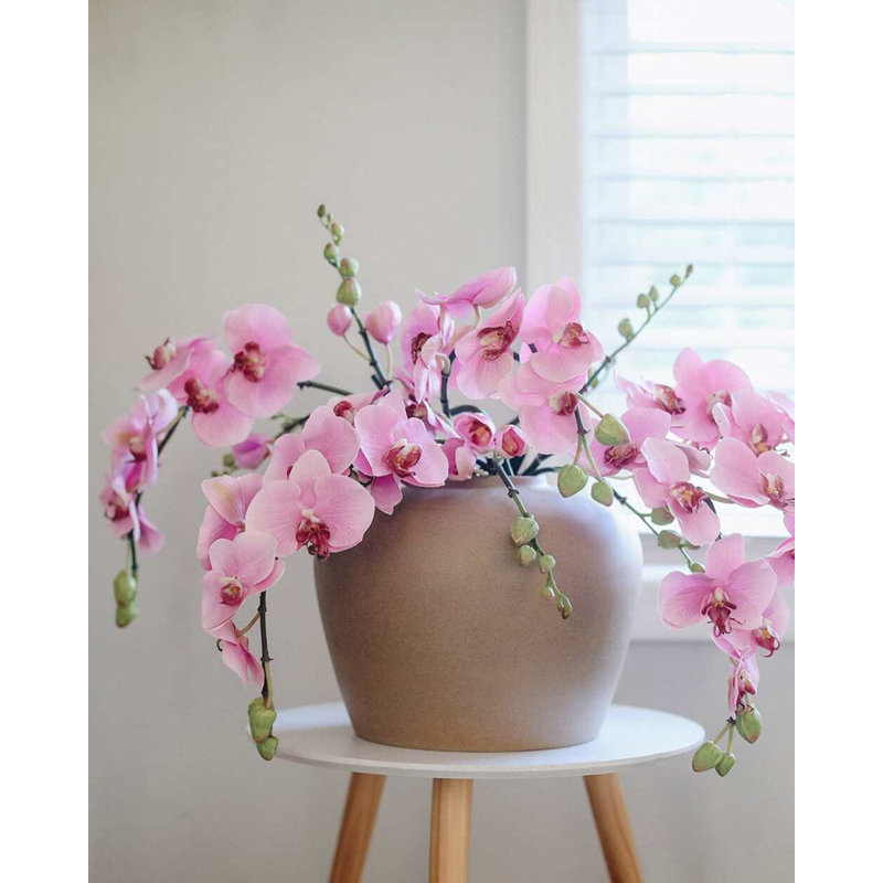 Pink Flowering Phalaenopsis Orchid 34", Pink, 43" H x 4" W