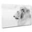 A Lion Painting - Wrapped Canvas-56655273