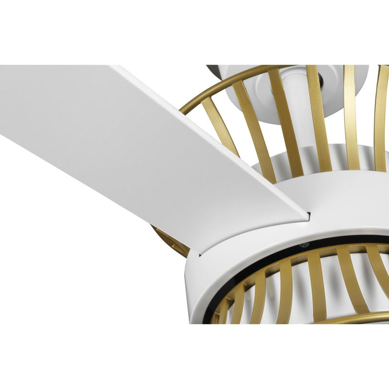 Bisbee 55'' Ceiling Fan with LED Lights, Matte White