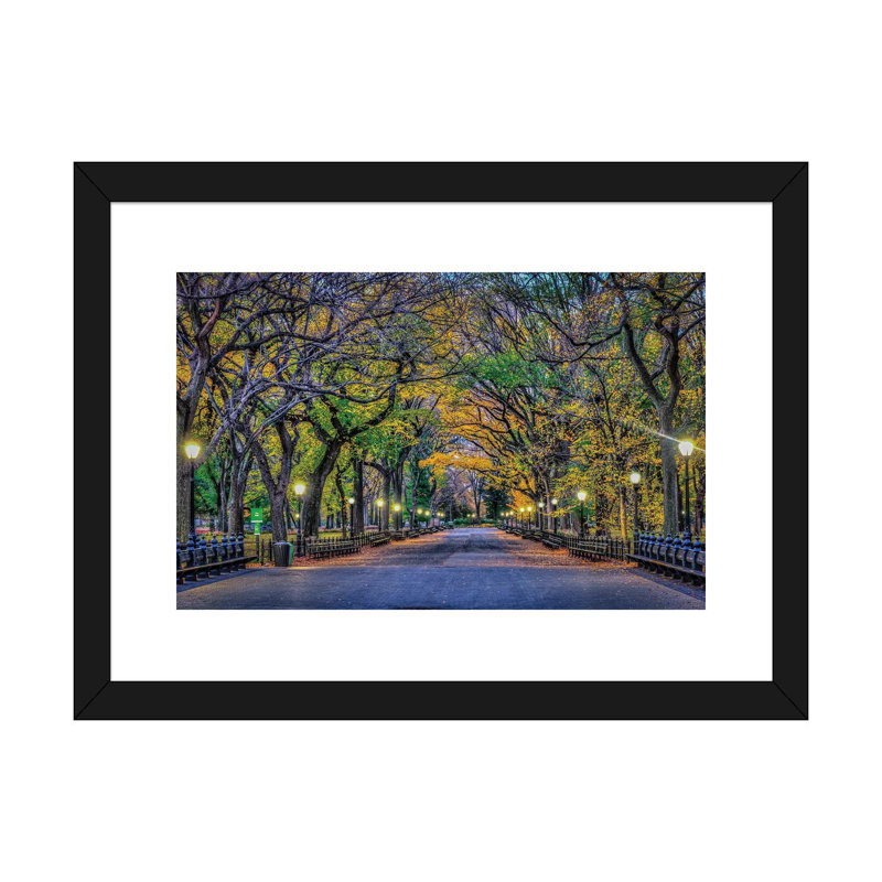 «Central Park Night» par David Gardiner - reproduction de photo, H 24 po x l 32 po x P 1 po, Papier encadré noir, Blanc