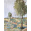 Spring Day II - Artist Enhanced Canvas Print-456292839-479004922