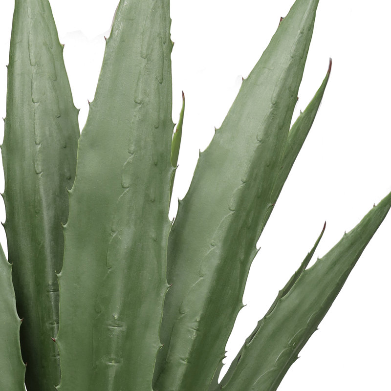 Fausse plante d'agave en pot 38 po Coles