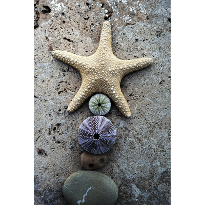 Gifts of the Shore VII by Elena Ray - Wrapped Canvas Photograph