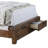 Bookcase Bed with Drawers-924951417