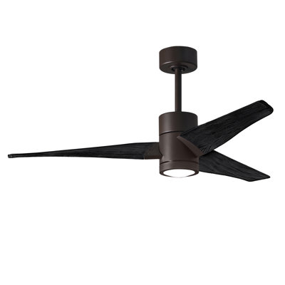 LED Downrod Ceiling Fan