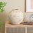 Cole And Grey Ceramic Antique Short Wide Decorative Vase With Shades Of Pink