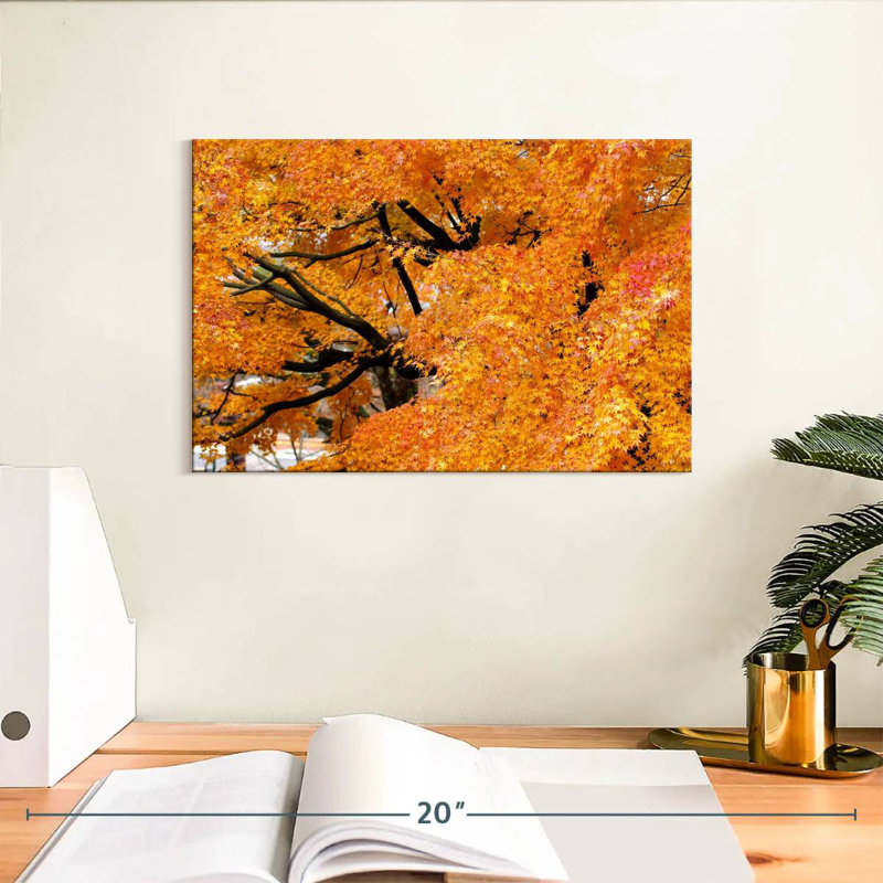 Harnek Maple Trees In Autumn, 8" H x 12" W