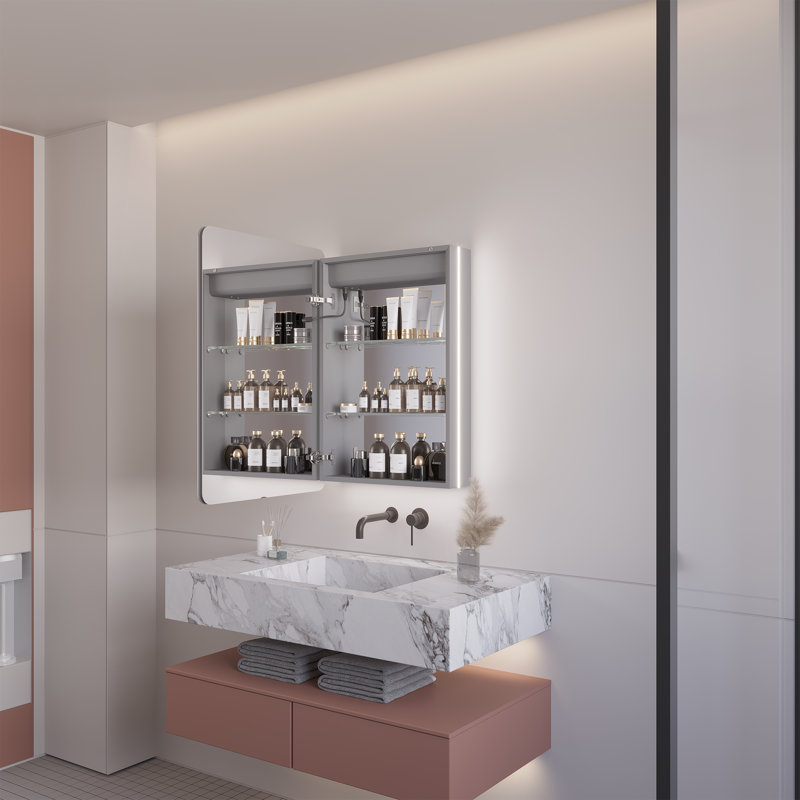 Kerria 20'' W 28 H'' Surface Mount LED Medicine Cabinet Lighting Mirror with 2 Adjustable Shelves