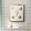 Toile encadrée Pastel Knorr Shells-350724587-350724596