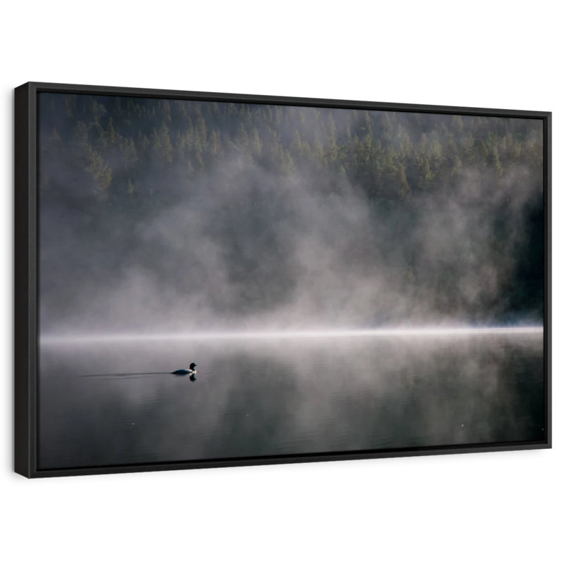 Nature «Duck In Foggy Lake», H 37 po x l 25 po