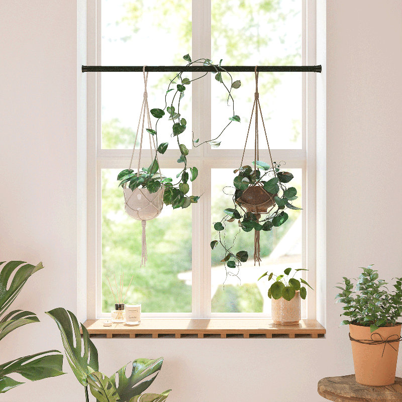 Window Plant Hanger Indoor Adjustable Hanging Planters for Indoor Plants Spring Tension Rods 27''-51'' No Drilling Expandable Hanging Plant Holder for