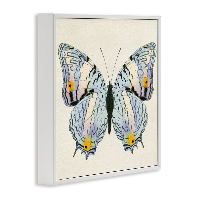 Papillon avec détails, estampe numérique par Susan Arnot, H 12 po x l 12 po, Estampe numérique encadrée blanc bord de mer