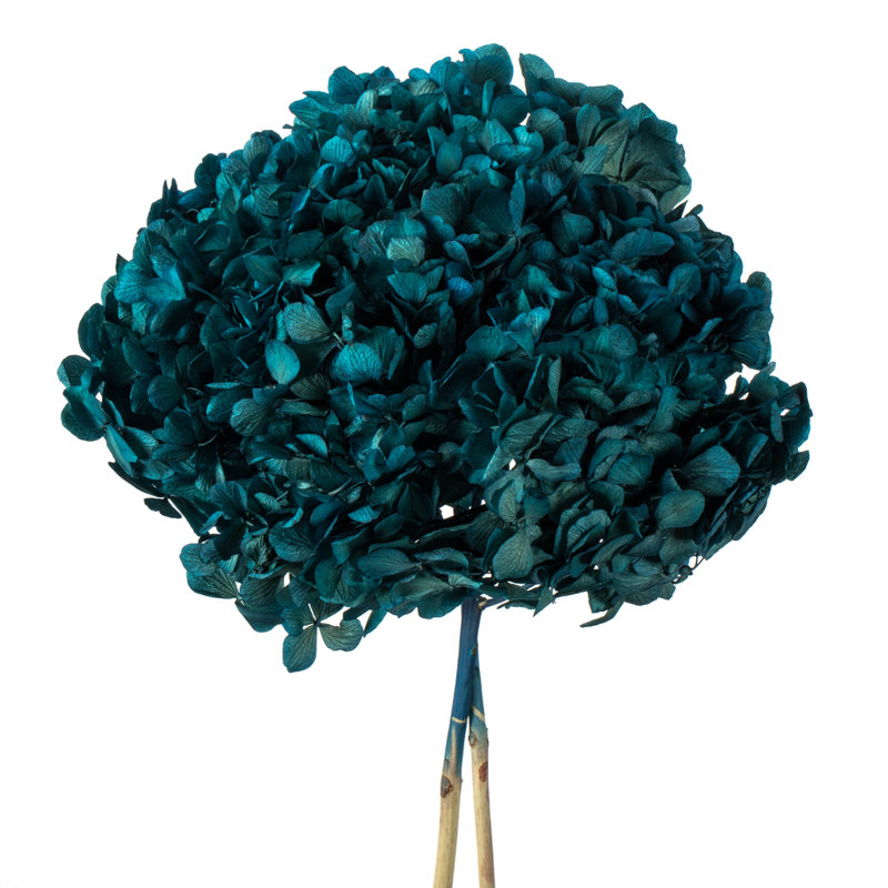 Hortensia naturel 15 "avec plusieurs branches, Natural Botanicals, bleu
