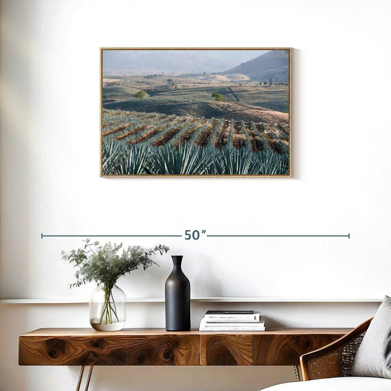 Téquila Jalisco Agave Field, Cadre flottant en bois naturel, 31 po x 21 po
