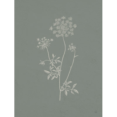 Cadeaux de la sauge Meadow III