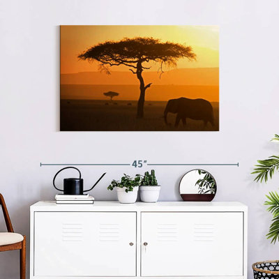 Lone Elephant
