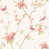 Cream/Pink