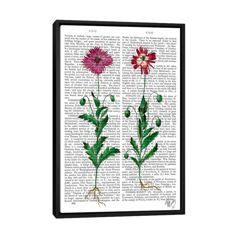 «Italian Carnation III», impression sur toile, H 26 po x l 18 po x P 1,5 po, Toile encadrée noire, Pas de tapis