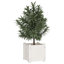 Alatea Wood Planter Box-967479410-967479408