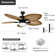 Tenisha 52'' Ceiling Fan with LED Lights