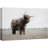 «Animals Washed Out Landscape», vache Shetland sur toile-93629567-93629568
