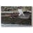 Solo Flight -Gallery Wrapped Cavas-260860267