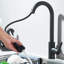 Belfry Kitchen Pull Out Kitchen Faucet