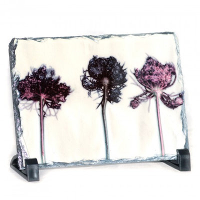 Kobbe Landscape & Nature Decorative Plaque / Box Sign