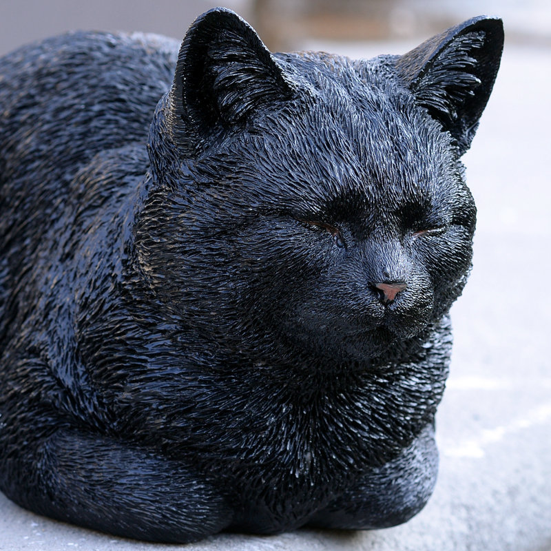 Resting Black Tabby Cat, Black