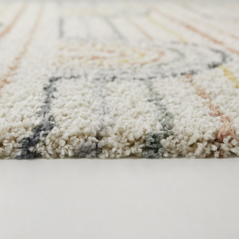 Alec Rainbow Shag Area Rug, Cream Rainbow, Rectangle 4'4" x 6'