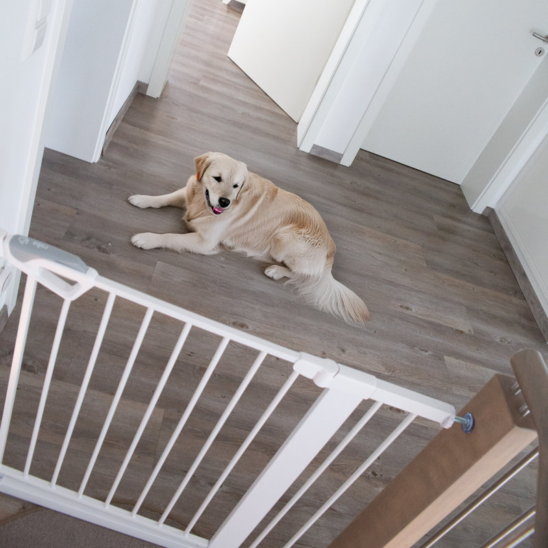 EasySafe+ Safety Gate, White