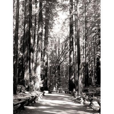 Art Prints