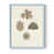 Blue Single Picture Framed