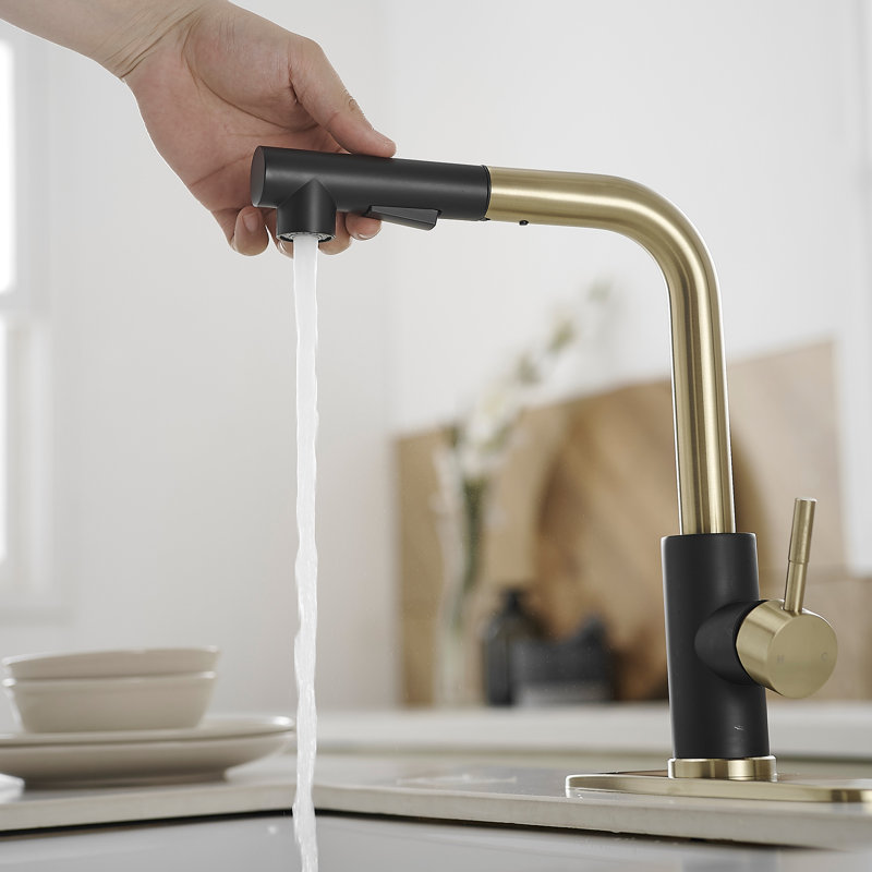 Robinet de cuisine extractible à poignée simple avec plaque de pont et conduites d'alimentation, Noir et or