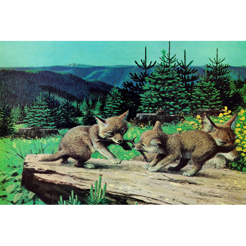Wrapped Canvas Print, 61cm H x 91cm W x 3.81cm D