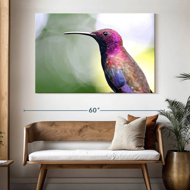 Colibri jamaïcain à la mangue, H 34 po x l 51 po