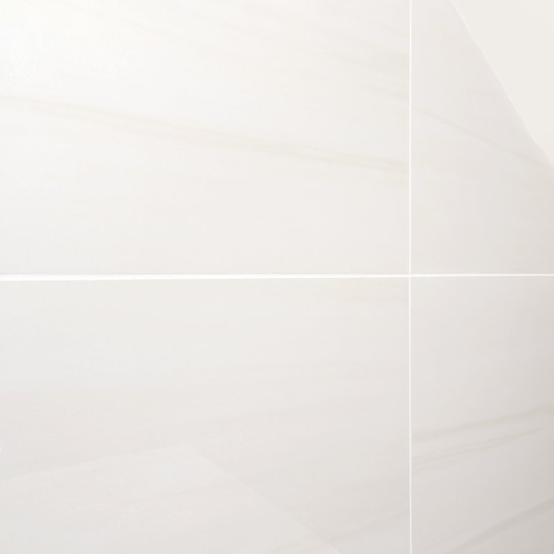 Terius Dolomite Warm White 23.54" x 23.54" Polished Marble Look Porcelain Floor and Wall Tile