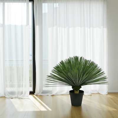 Faux Yucca Plant