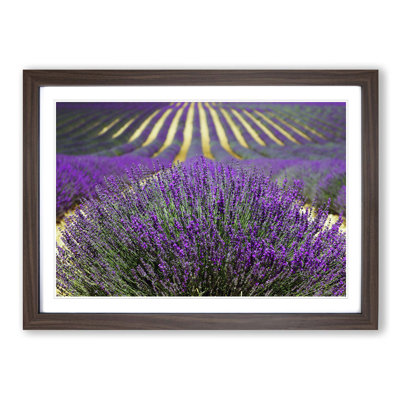Single Picture Frame Print