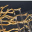 Bernardston 10 - Light Chandelier