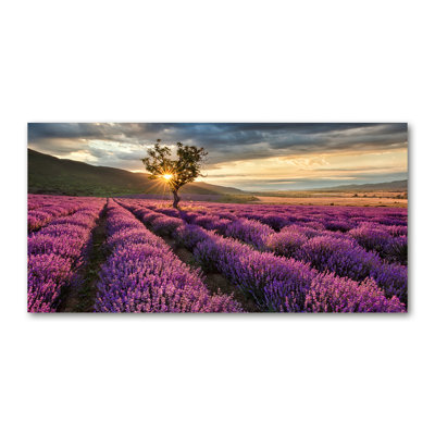 Lavender Field - Wrapped Canvas Print