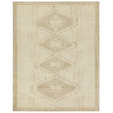 Jaipur Living Ameen JIN10 Handknotted Medallion Tan and Taupe Area Rug (10'x14')